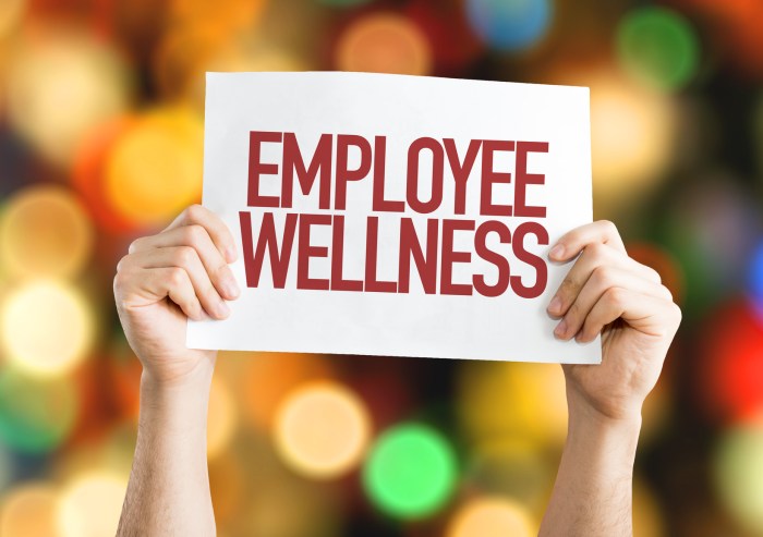 Wellness program well being employee promote heb company graphic words establishes initiated launching steps wide into first